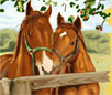 Horses Art Book